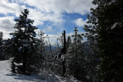 DSC_0786 (Large).JPG